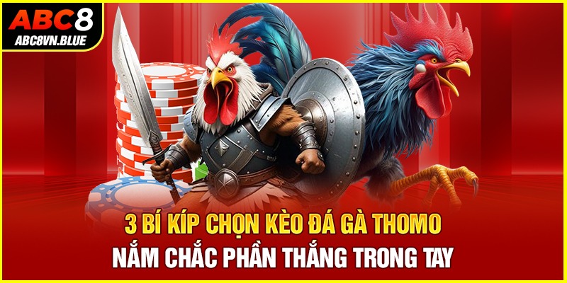 3 Bí Kíp Chọn Kèo Đá Gà Thomo - Nắm Chắc Phần Thắng Trong Tay