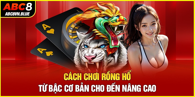 Cách chơi Rồng Hổ từ bậc cơ bản cho đến nâng cao