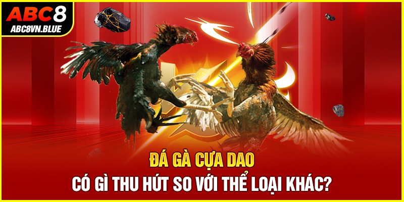 Đá gà cựa dao có gì thu hút so với thể loại khác?