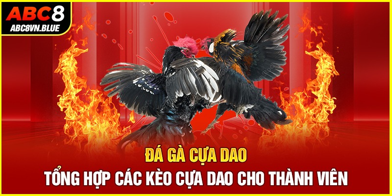 Đá Gà Cựa Dao - Tổng Hợp Các Kèo Cựa Dao Cho Thành Viên