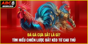 Đá Gà Cựa Sắt Là Gì? Tìm Hiểu Chiến Lược Bắt Kèo Từ Cao Thủ