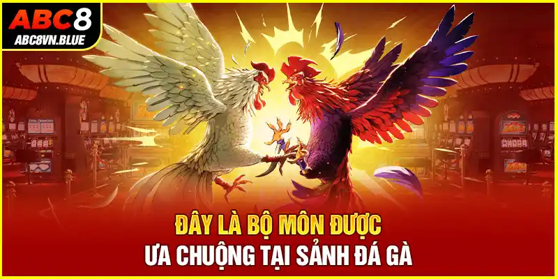 Đây là bộ môn được ưa chuộng tại sảnh đá gà