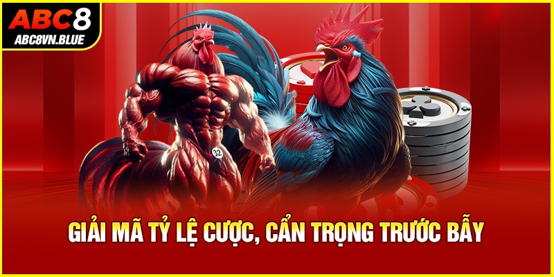 Giải mã tỷ lệ cược, cẩn trọng trước bẫy