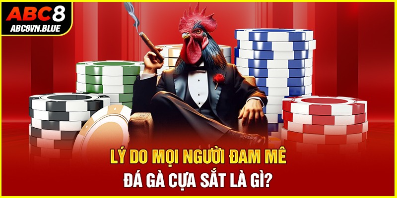 Lý do mọi người đam mê Đá gà cựa sắt là gì?