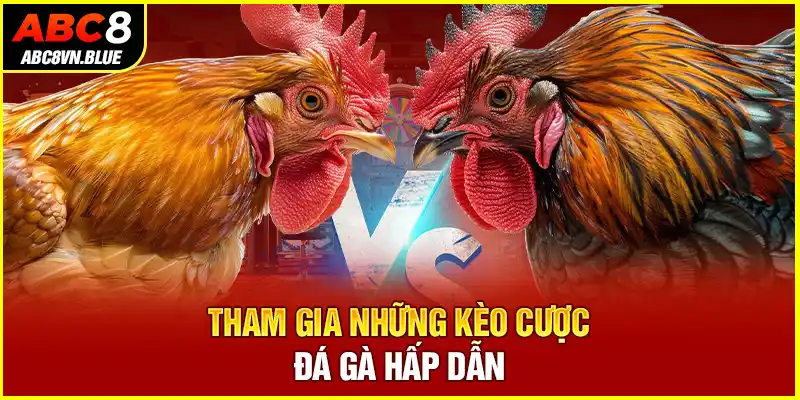 Tham gia những kèo cược đá gà hấp dẫn